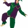 Mardi Gras Jester Adult Costume
