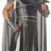 Centurion Adult Costume