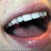 Small Blood Tip Fangs