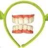 Shrek Forever After-Shrek Ears And Teeth Child