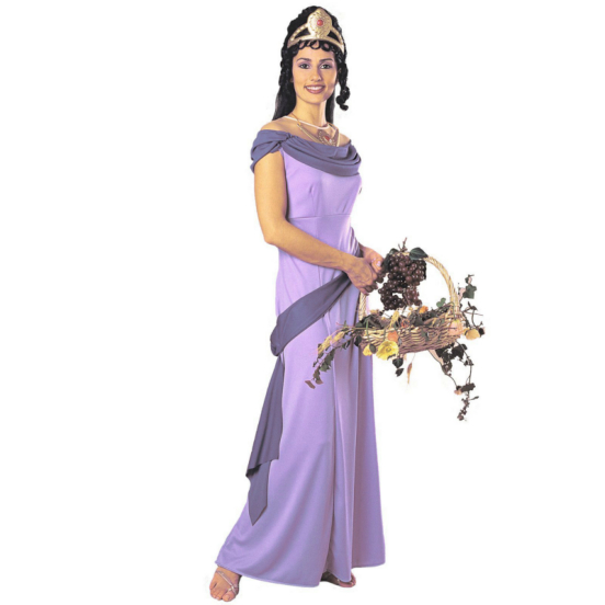 Grecian Princess Adult Costume 1 Grecian Princess Adult Costume